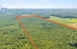 Near 8944 Chauncey Town Rd, Lake Waccamaw, NC 28450