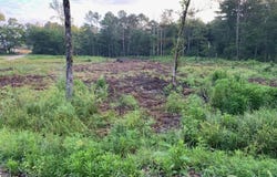 Tract 1 Coop Trail, Bismarck, AR 71929