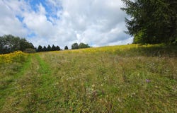 1418 County Rd 16, Smyrna, NY 13832