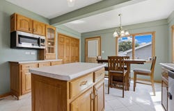 9817 Minnick Avenue, Oak Lawn, IL 60453