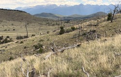 J Path, Cotopaxi, CO 81223