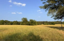 CR 2501, Eustace, TX 75124