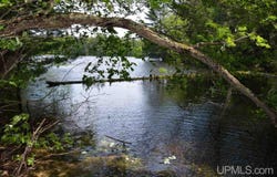 H58 Road, Shingleton, MI 49884