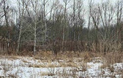700 S Road, Culver, IN 46511