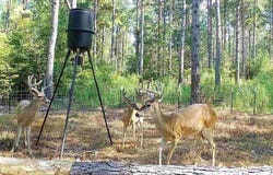 County Road 1640, Jefferson, TX 75657
