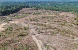 350 Baumann Road, Hickory Flat, MS 38633