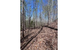 High Pines Loop, Lake Lure, NC 28746