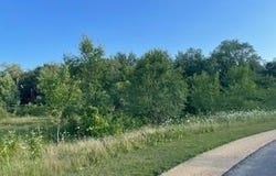 Lucille Lane lot: 42, Merrimac, WI 53561