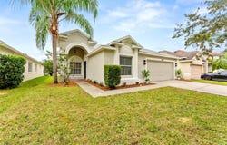 19009 FISHERMANS BEND Drive, LUTZ, FL 33558