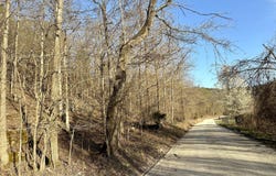 Brown Road Lot, Van Buren, MO 63965