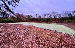 840 Miller Road, Ola, AR 72853