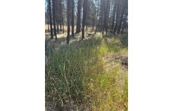 17123 Spring River Road, Bend, OR 97707