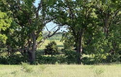 Rural 881 Rd, Verdigre, NE 68783