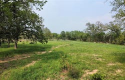 4177 Old Colony Line Rd, Lockhart, TX 78644