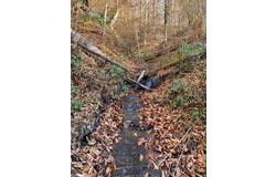 1085 Spring Branch Road, Jeremiah, KY 41826