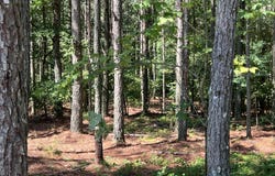 940 Crockett Point, Jasper, TN 37347