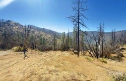 4351 Saddle Spring Rd, Bodfish, CA 93205