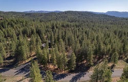 924 Dancing Bears, Portola, CA 96122