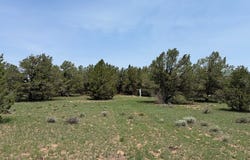 7 GILA Dr, Quemado, NM 87829