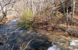 1412 Dicks Creek Road, Whittier, NC 28789