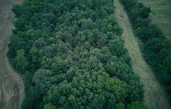Herl Road, Bronson, MI 49028