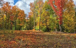 80 acres Co Rd 510, Ishpeming, MI 49849