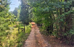 87 Settle Rd, Frisco City, AL 36445
