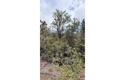 Catamaran Ln, Ocean View, HI 96737