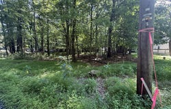Valley Rd 744, Effort, PA 18330