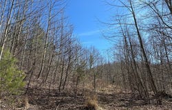 Acadia Lane, Charleston, WV 25311