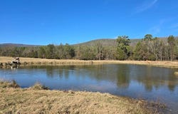 10 TBD Bates Arkansas, bates, AR 72958