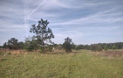 NW ROLLING HILLS DRIVE, Madison, FL 32340