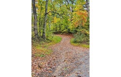 Bud Mountain Road, BUD, WV 24617