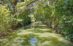 24 Edminston Ln lot: 37A, Comfort, TX 78013