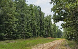 Cristine St, Blossom, TX 75416