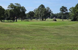 1501 Deercreek Drive, Manning, SC 29102