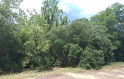Wellington Place, Chipley, FL 32428