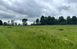 1.3 County Route 24, Antwerp, NY 13608