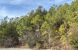 Stone Ridge Pkwy, Brookwood, AL 35444