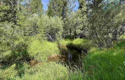 3858 Highway 28, Lander, WY 82520