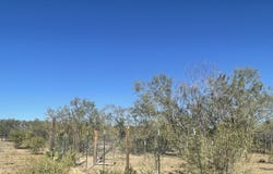 FM 1346, St Hedwig, TX 78152