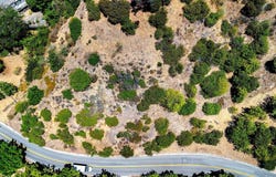 2813 Benedict Canyon Dr, Beverly Hills, CA 90210