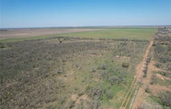 CR 409, Merkel, TX 79536