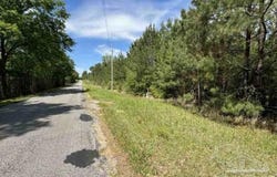 Horace Odom Rd, Millry, AL 36558