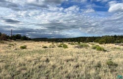 121 Warpath Rd, Quemado, NM 87829