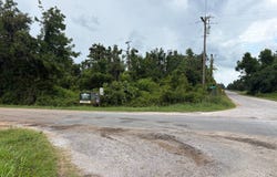 COLLINS, Delhi, LA 71232