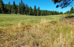 1175 Great Spirit lot: 388, Portola, CA 96122