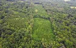 13.4 Acs Chestnut Road, Nathalie, VA 24577