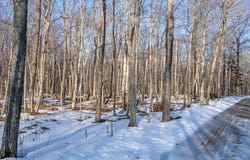 Hawk Ln lot: 1, Baileys Harbor, WI 54202