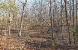 83 Minx Valley Drive, Roach, MO 65787